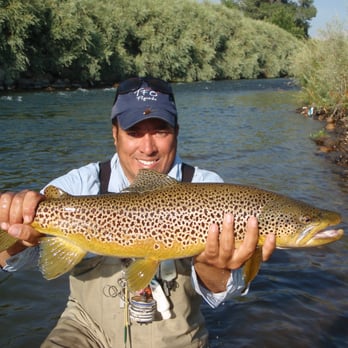 Stillwater Guide Service - Wild brown off the Truckee river. - Fishing Near Me - Reno, Nevada Stillwater Guide Service - Wild brown off the Truckee river. - Fishing Near Me - Reno, Nevada