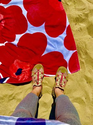 Oak Street Beach by null