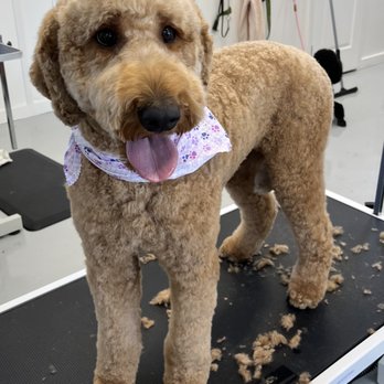 Barks & Bubbles - Pet Groomers Near Me - Fulton, Maryland