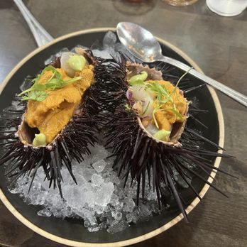Holbox - Uni and scallop - Latin American Near Me - Los Angeles, California Holbox - Uni and scallop - Latin American Near Me - Los Angeles, California