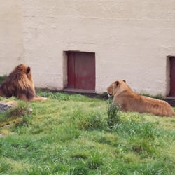 Bretagne Zoo