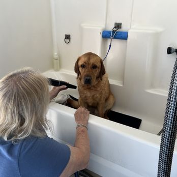 The Doggie Spa - Pet Groomers Near Me - Huntington Beach, California