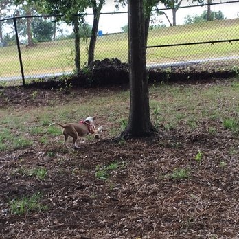 Ed Austin Regional Park - The quality of dogs to play with your dog are top notch. - Playgrounds Near Me - Jacksonville, Florida Ed Austin Regional Park - The quality of dogs to play with your dog are top notch. - Playgrounds Near Me - Jacksonville, Florida