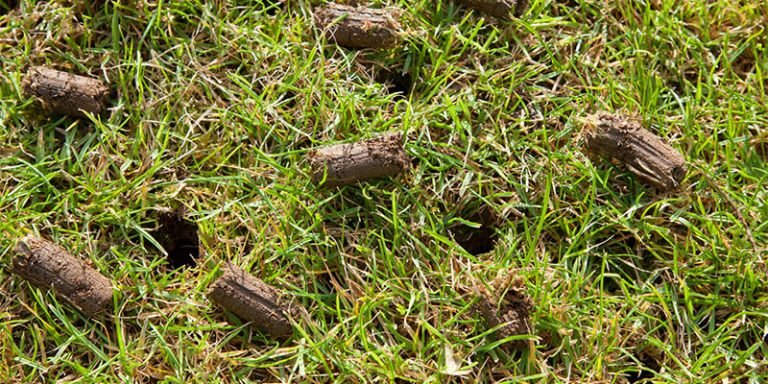 FILL S LAWN CARE Updated July - O