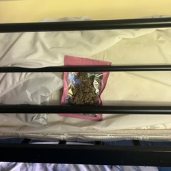 Capitol Corporate Housing - Found hidden under mattress pad cover in bunk bed