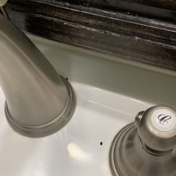 Jupiter Beach Resort & Spa - More rodent droppings - Hotels Near Me - Jupiter, Florida Jupiter Beach Resort & Spa - More rodent droppings - Hotels Near Me - Jupiter, Florida