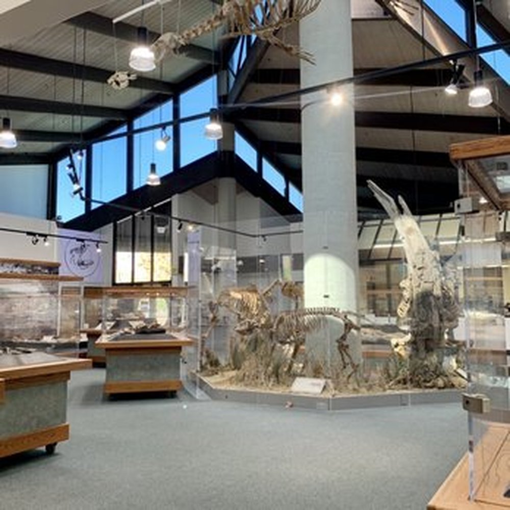 Ralph B Clark Regional Park - fossils in the Interpretive Center - Parks Near Me - Buena Park, California Ralph B Clark Regional Park - fossils in the Interpretive Center - Parks Near Me - Buena Park, California
