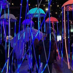Lumière - Jellyfish Forest (Lumière, 2023).