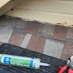 Skunk Bait Wildlife And Pest Control