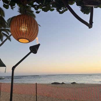 Hau Tree Bar - Local Flavor Near Me - Honolulu, Hawaii