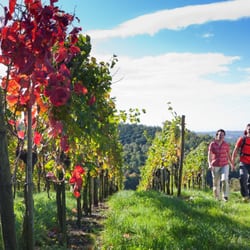 Tourist Info - Bodensee LandGänge