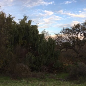 Tassajara Creek Regional Park - Hiking Near Me - Dublin, California