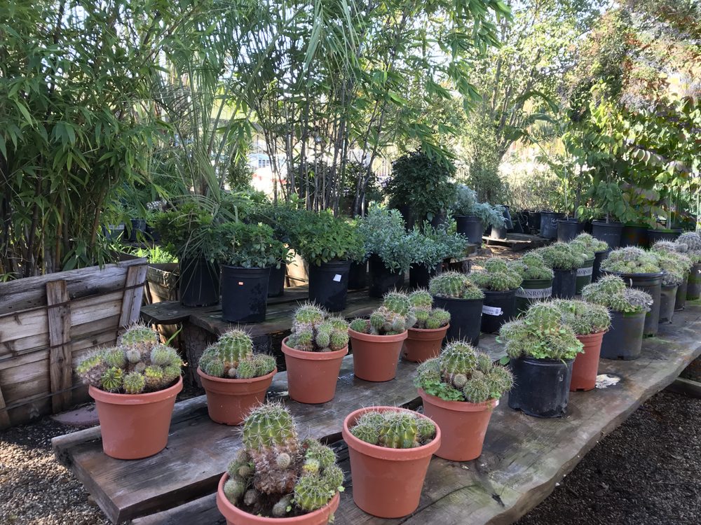 MEINERS OAKS NURSERY Updated August 2024 312 W El Roblar Dr, Ojai
