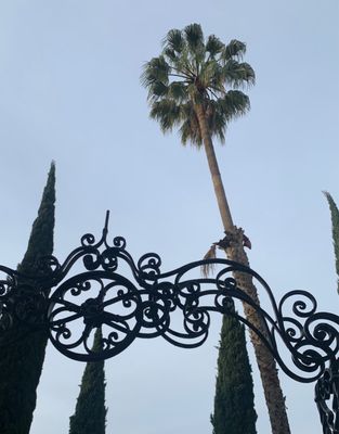 Palihouse Santa Monica by null