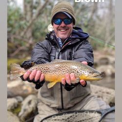Brown Trout Fly Fishing LLC - Brown Trout
