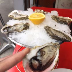 Comptoir des Mers - Poissonnerie - Beautiful Oysters