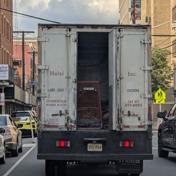 Halal Fresh Meats - Tried to get the attention of the driver but they just kept driving - Meat Shops Near Me - Newark, New Jersey Halal Fresh Meats - Tried to get the attention of the driver but they just kept driving - Meat Shops Near Me - Newark, New Jersey