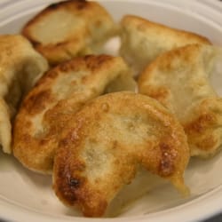 Jade Garden No1 - Fried Dumplings!