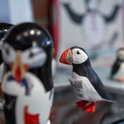 Project Puffin Visitor Center - Project Puffin Visitor Center