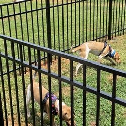 Tar Heel Fence Company LLC