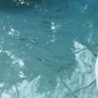 Photo of JaiForce Pressure Washing