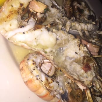 Cxiii Rex - Langoustine - Sports Clubs Near Me - Alexandria, Virginia