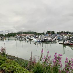 Dock Point Trail - Views of Valdez's scenic downtown harbor along the trail.
