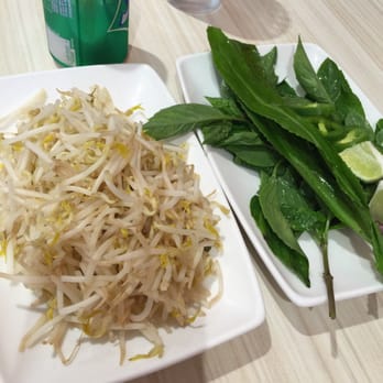 Pho Viet Mai - Side veggies that came w my pho. - Vietnamese Near Me - Cypress, Texas Pho Viet Mai - Side veggies that came w my pho. - Vietnamese Near Me - Cypress, Texas