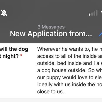 Westside German Shepherd Rescue - Pet Adoption Near Me - Los Angeles, California