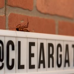 Cleargate Pest Defense - Follow us on social media. @Cleargatepest