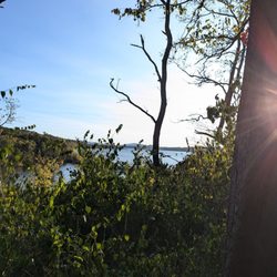 Fran Reese Audubon Sanctuary