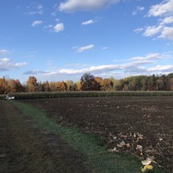 Cicero Pumpkin Patch - Pumpkin field