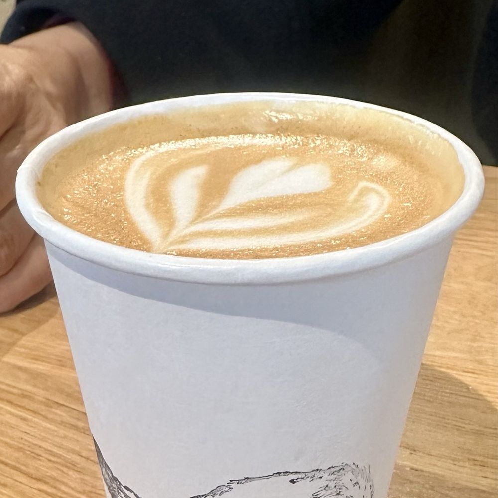 Fox in the Snow - Cappucino - Bakeries Near Me - Dublin, Ohio
