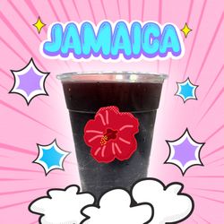 Susy's Ice Cream - Jamaica Agua Fresca, Hibiscus Tea