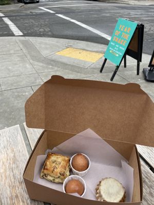 Year of the Snake by null