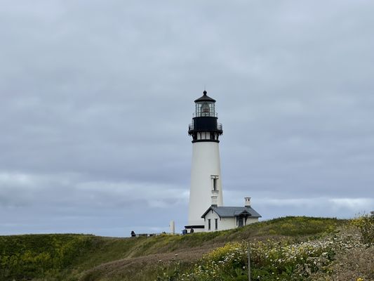 Yaquina Head Lighthouse by null
