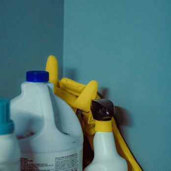 The Green Maid - Home Cleaning Near Me - Skokie, Illinois The Green Maid - Home Cleaning Near Me - Skokie, Illinois