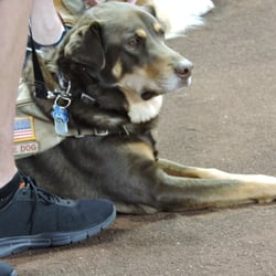 Soldier's Best Friend