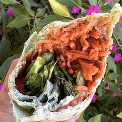 Hana Harvest Cafe - Vegetarian wrap - very tasty!