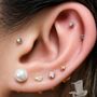 Photo of Baron Art Tattoo Piercing Studio