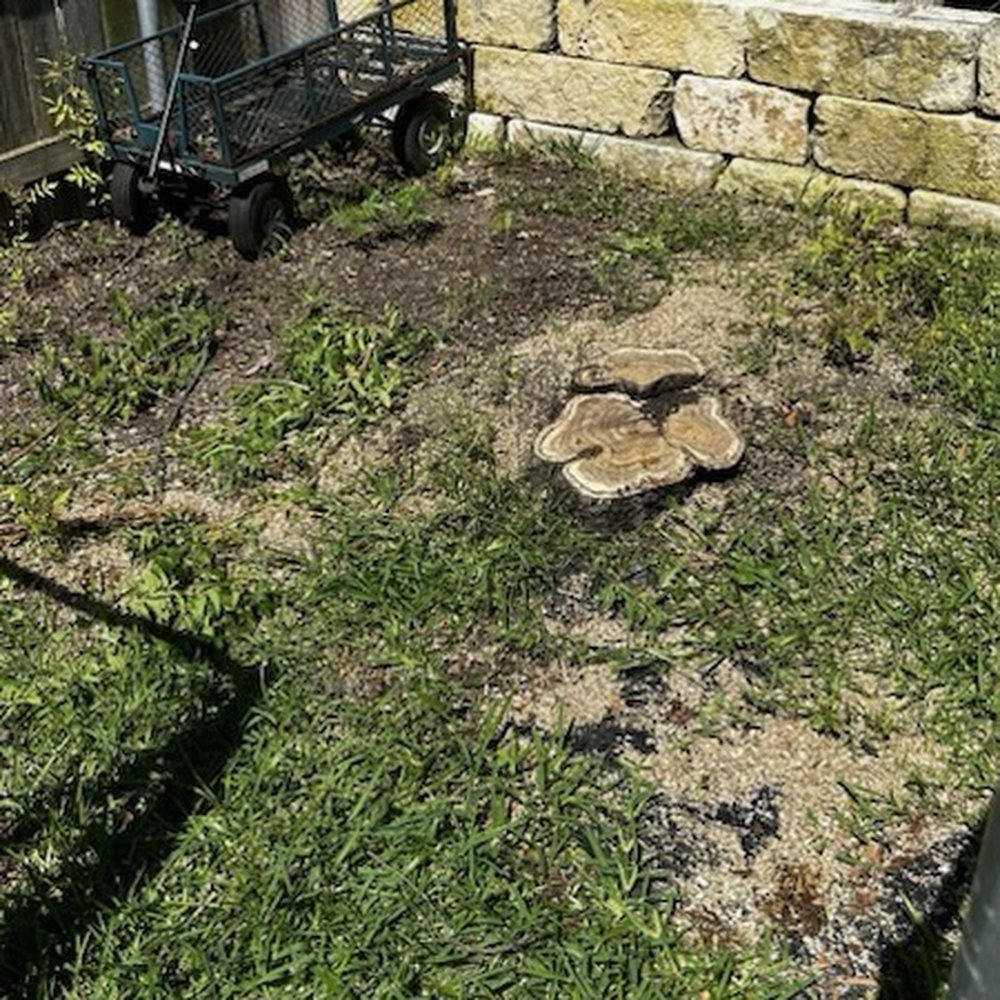 Smith Land and Tree Services - After Tree Removal - Tree Services Near Me - Gatesville, Texas