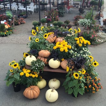 Weidners' Gardens - Fall color in So. Cal!! I had soooo much fun building my own succulent planter with Evelyn & Sabrine's guidance!! - Nurseries & Gardening Near Me - Encinitas, California Weidners' Gardens - Fall color in So. Cal!! I had soooo much fun building my own succulent planter with Evelyn & Sabrine's guidance!! - Nurseries & Gardening Near Me - Encinitas, California