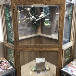 V Dental Center