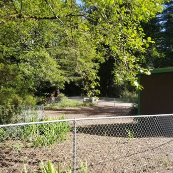 Emerald Forest Cabins & RV - The fenced dog park - Campgrounds Near Me - Trinidad, California Emerald Forest Cabins & RV - The fenced dog park - Campgrounds Near Me - Trinidad, California