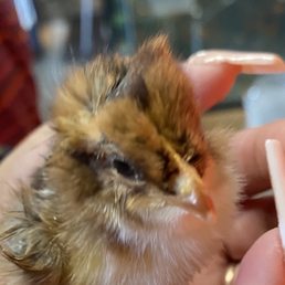 This poor baby..I wish I'd never handed him to the employee had I known they weren't going to help it. This poor baby..I wish I'd never handed him to the employee had I known they weren't going to help it.
