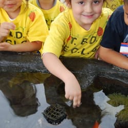 Beth David Preschool - Our field trip to the aquarium
