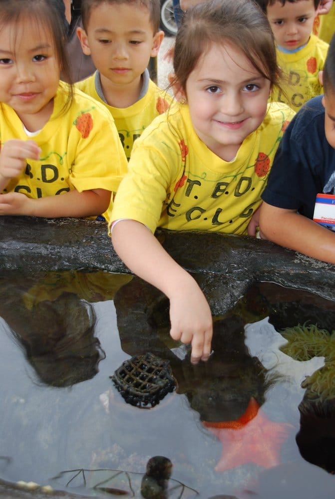 Beth David Preschool - childcare center in Westminster, CA