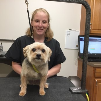 Flowood Pet Hospital and Resort - Grooming is one of our many services. - Veterinarians Near Me - Flowood, Mississippi Flowood Pet Hospital and Resort - Grooming is one of our many services. - Veterinarians Near Me - Flowood, Mississippi