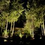 Photo of Primal Outdoor Lighting & Design