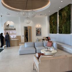 Rise Pet Health - Waiting area